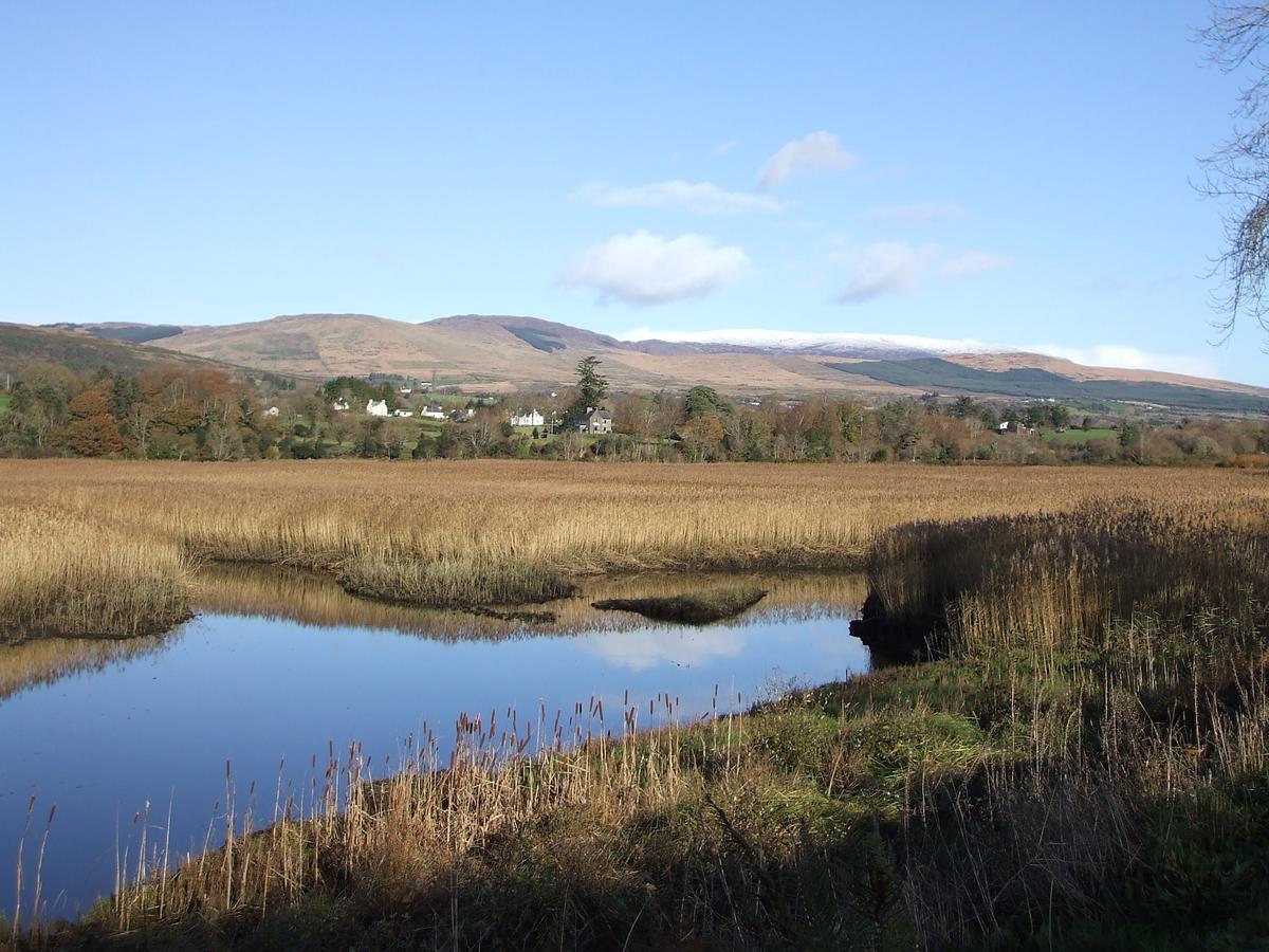 Forgefield House Bed & Breakfast Kenmare Exterior foto